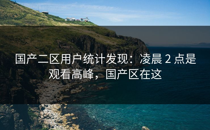 国产二区用户统计发现：凌晨 2 点是观看高峰，国产区在这