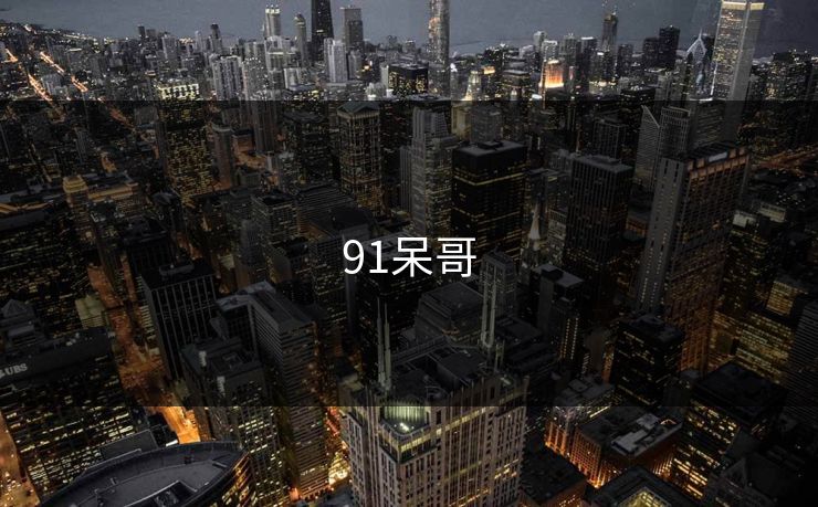 91呆哥