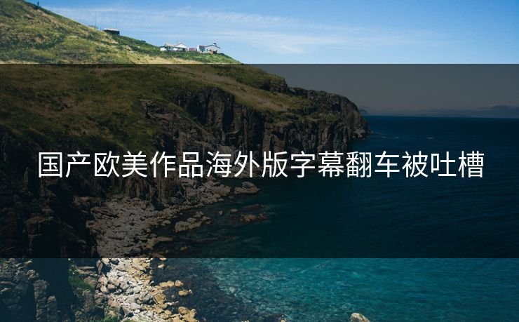 国产欧美作品海外版字幕翻车被吐槽