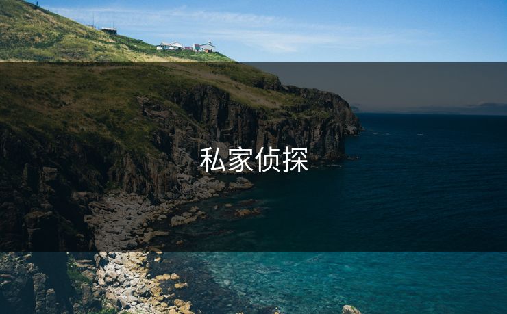 私家侦探