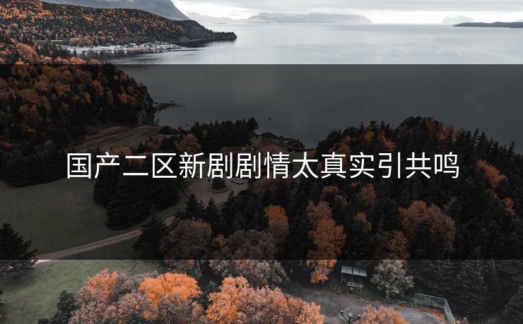 国产二区新剧剧情太真实引共鸣