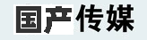国产传媒资源聚合导航平台